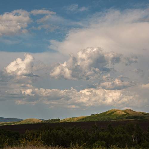 Photo #13745864