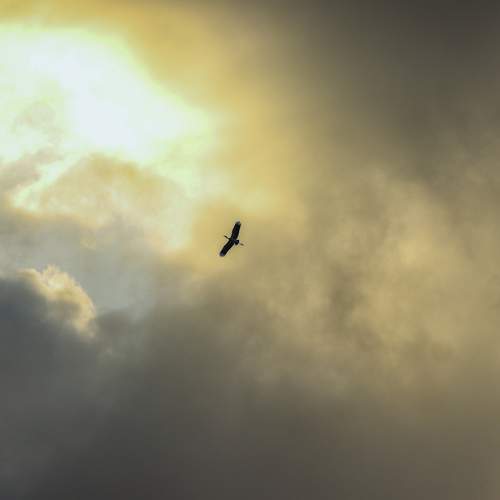 Photo #13745871