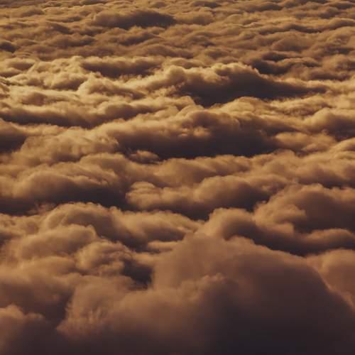 Photo #13745883