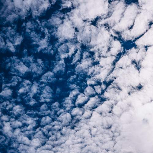Photo #13745884