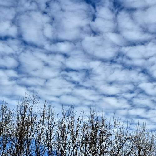 Photo #13745894