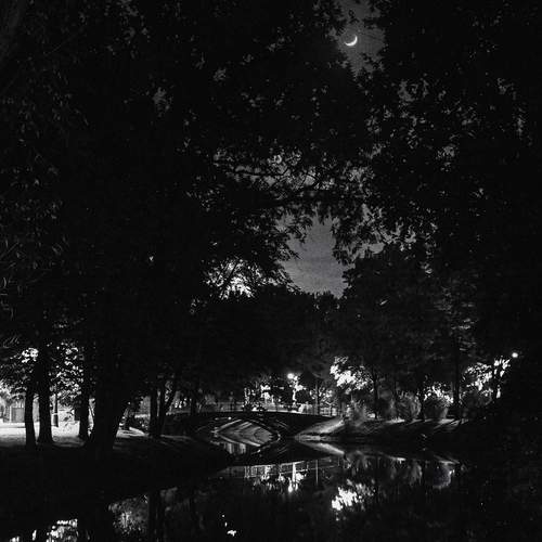 Photo #13745913