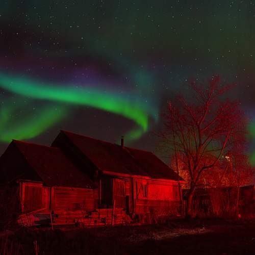 Photo #13745954