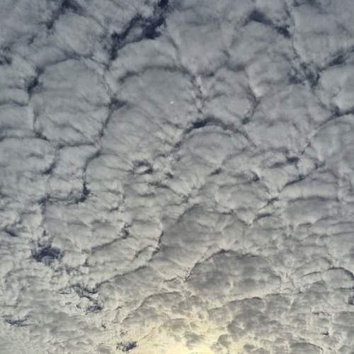 Photo #13746092