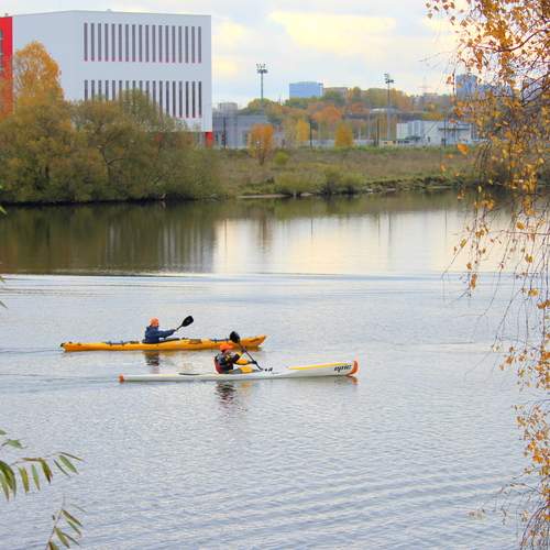 Photo #13746107