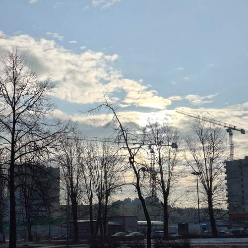 Photo #13746117