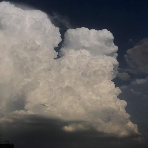 Photo #13746156