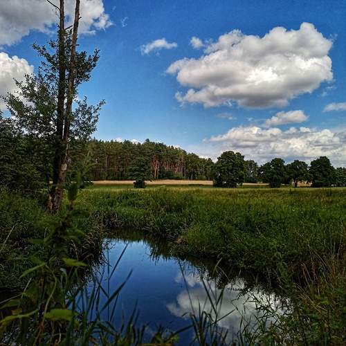 Photo #13746175