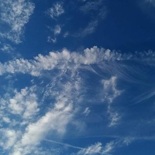 Photo #13746176