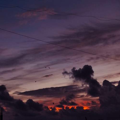 Photo #13746189