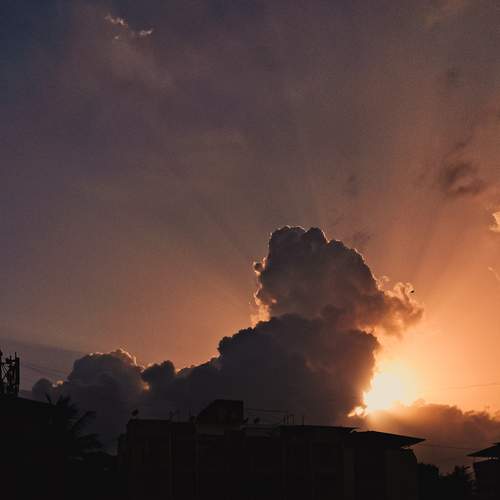 Photo #13746190