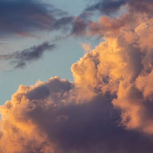 Photo #13746206