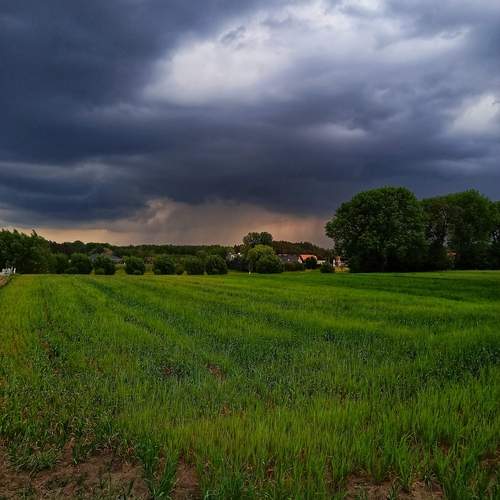 Photo #13746230