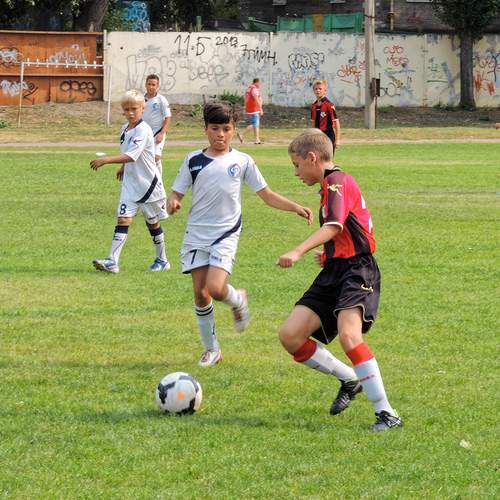 Photo #13746244