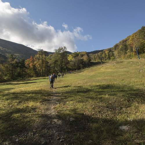 Photo #13746263