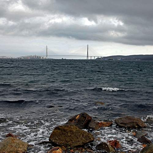 Photo #13746269