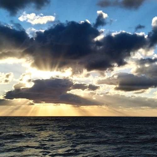 Photo #13746285