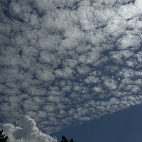 Photo #13746289