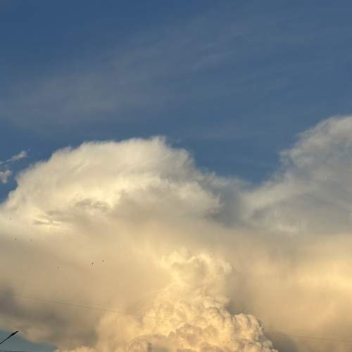 Photo #13746290