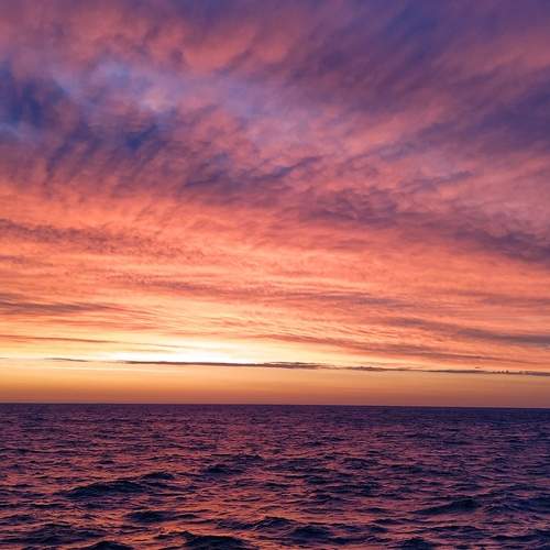 Photo #13746305