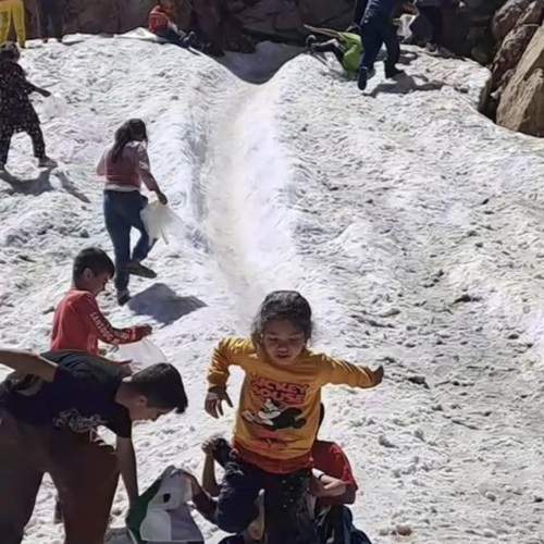 Photo #13746313