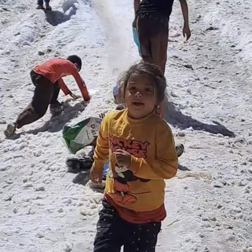 Photo #13746319