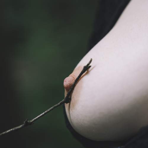 Photo #13746327