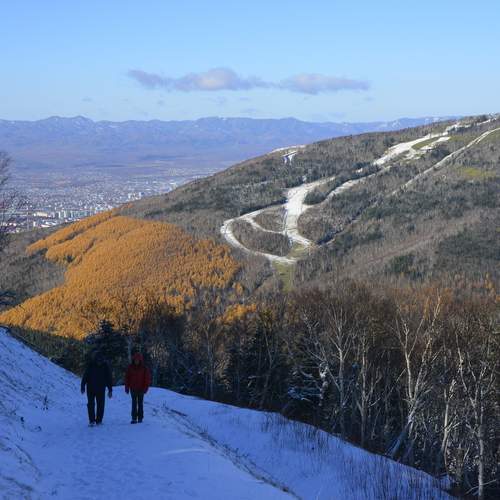 Photo #13746333