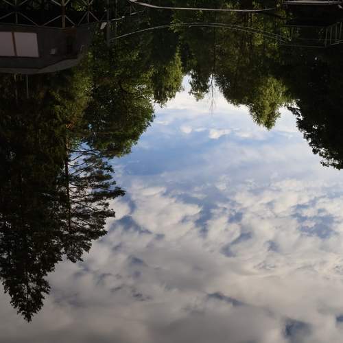 Photo #13746334