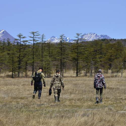 Photo #13746335