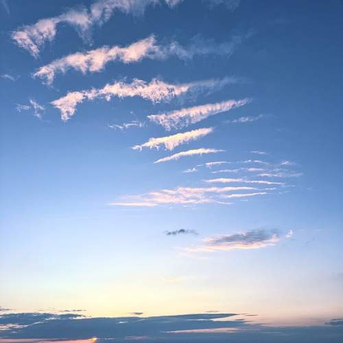 Photo #13746352