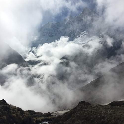 Photo #13746372