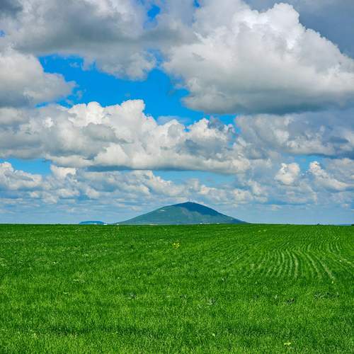 Photo #13746418