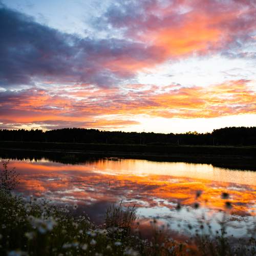 Photo #13746433