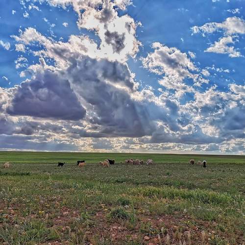 Photo #13746444
