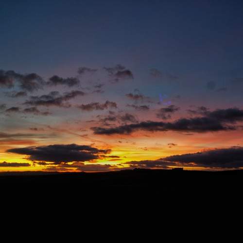 Photo #13746445