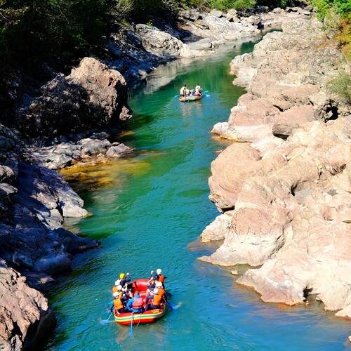 Photo #13746450