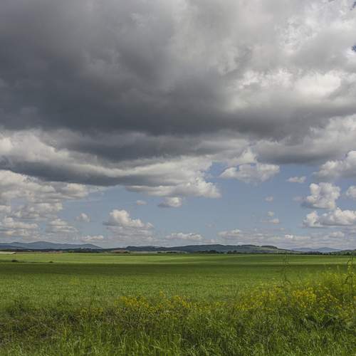 Photo #13746478