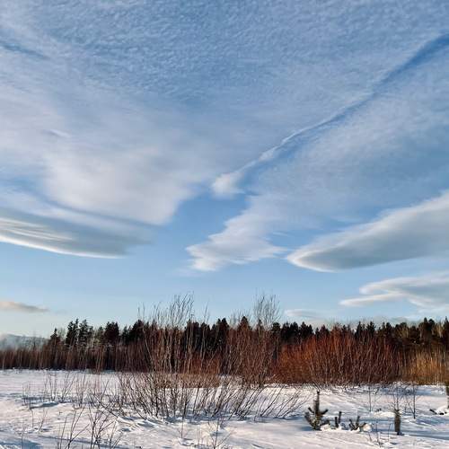 Photo #13746480