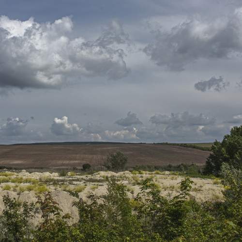 Photo #13746482