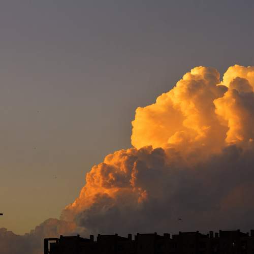 Photo #13746483