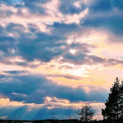 Photo #13746491