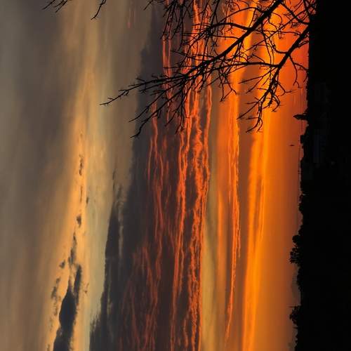 Photo #13746514
