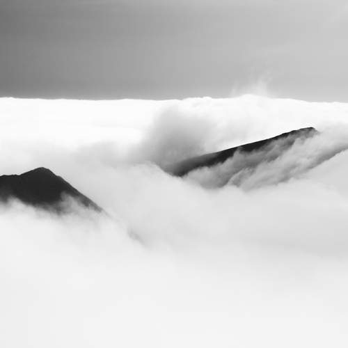 Photo #13746516