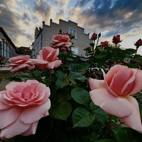 Photo #13746537