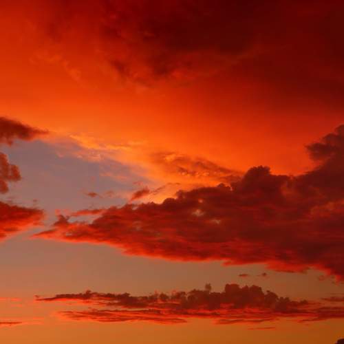 Photo #13746554