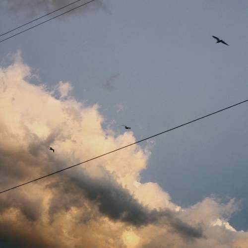 Photo #13746598