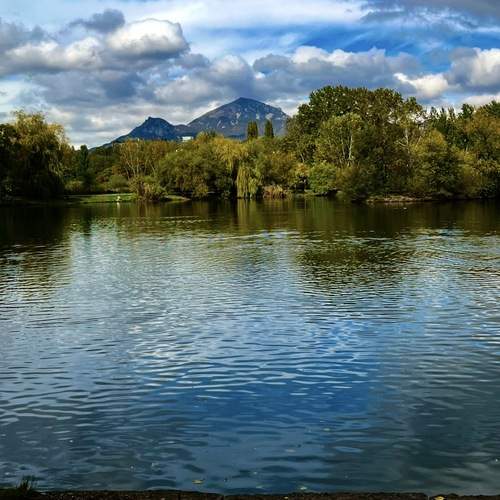 Photo #13746604