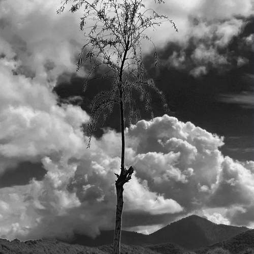 Photo #13746650