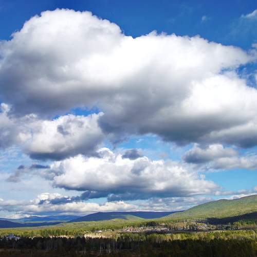 Photo #13746695
